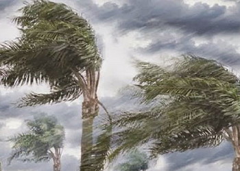 Waspada, Jelang Akhir Pekan Riau akan Diguyur  Hujan Disertai Petir dan Angin Kencang