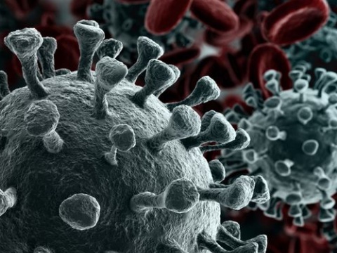 Update Kasus Covid-19 di Riau Hari ini. Riau tambah 282 Kasus.