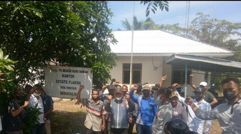 PETANI SAWIT PLASMA PT. MESKOM AGRO SARIMAS MINTA HENTIKAN AKTIFITAS KEBUN